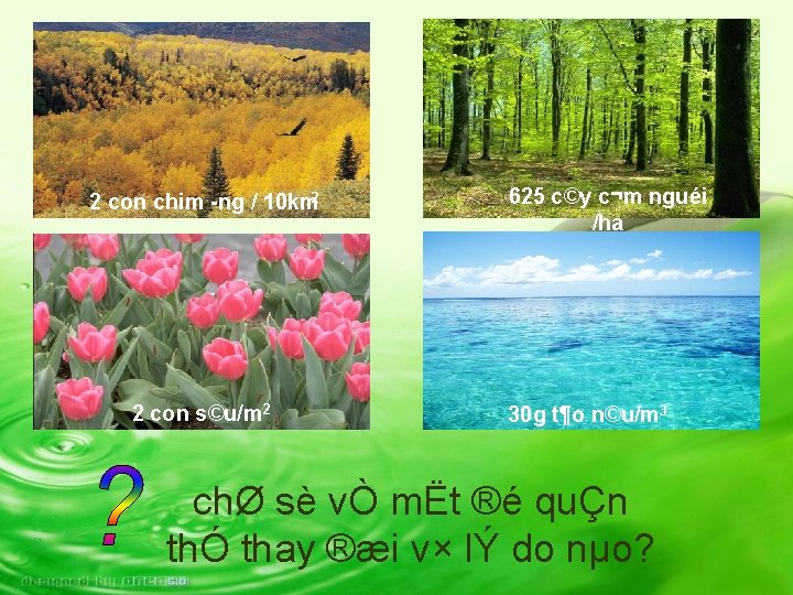 2 con chim ng / 10 km 2 2 con s©u/m 2 625 c©y 2 con chim ng / 10 km 2 2 con s©u/m 2 625 c©y