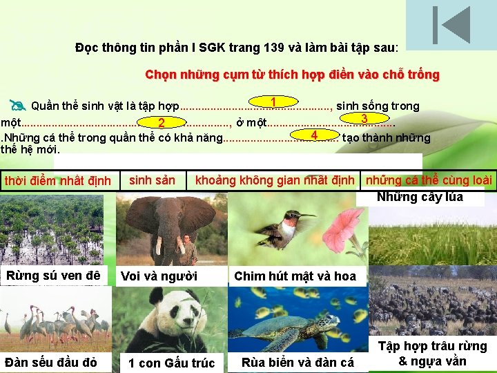 Đọc thông tin phần I SGK trang 139 và làm bài tập sau: Chọn