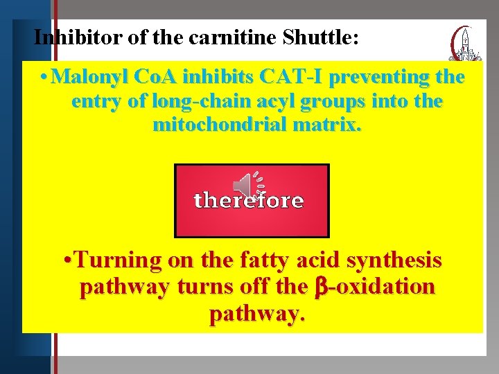 Inhibitor of the carnitine Shuttle: Click to edit Master title style • Malonyl Co.