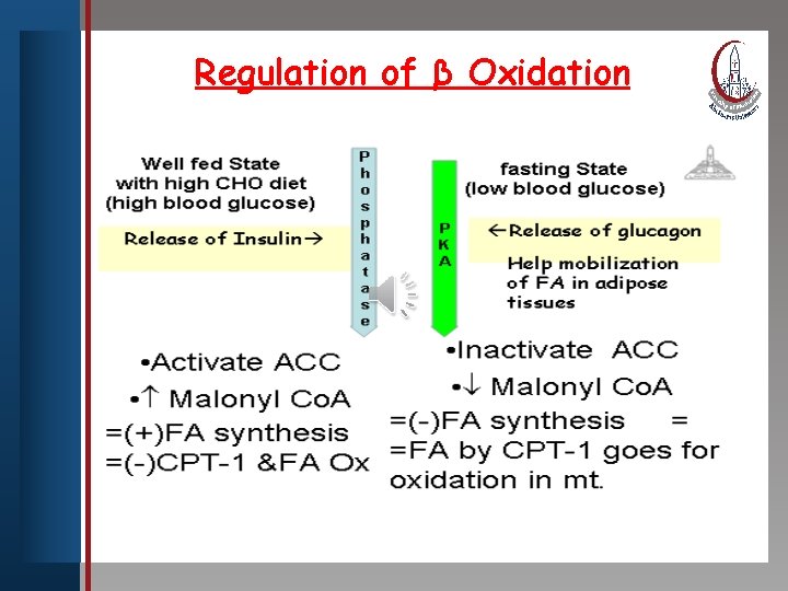 Regulation ofstyle β Oxidation Click to edit Master title • Edit Master text styles