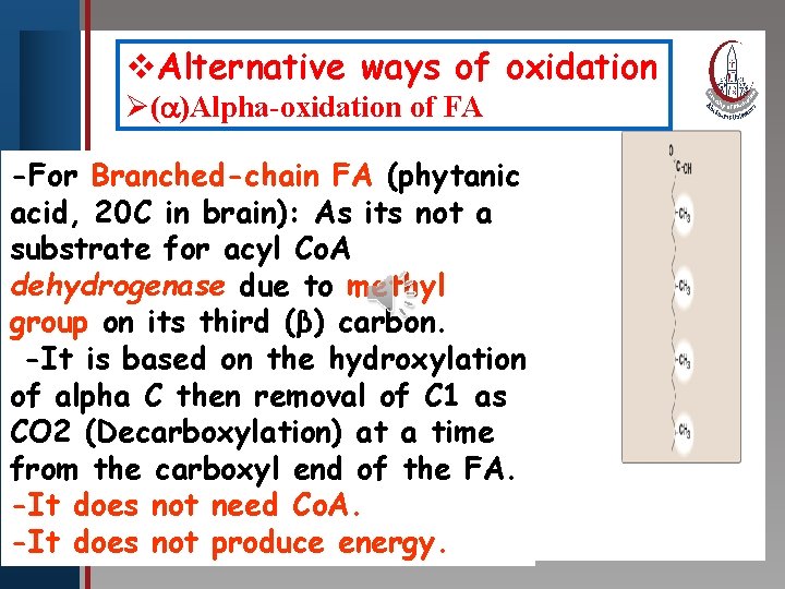 v. Alternative ways of oxidation Click to edit Master title style Ø( )Alpha-oxidation of