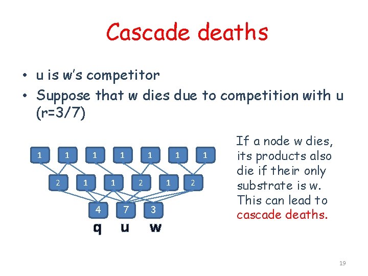 Cascade deaths • u is w’s competitor • Suppose that w dies due to