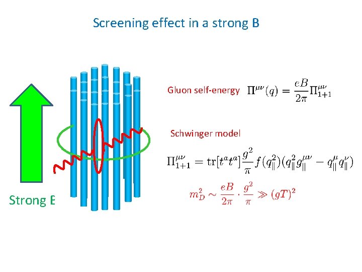 Screening effect in a strong B Gluon self-energy Schwinger model Strong B 