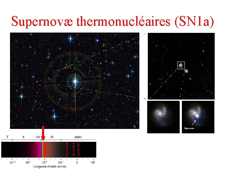 Supernovæ thermonucléaires (SN 1 a) 