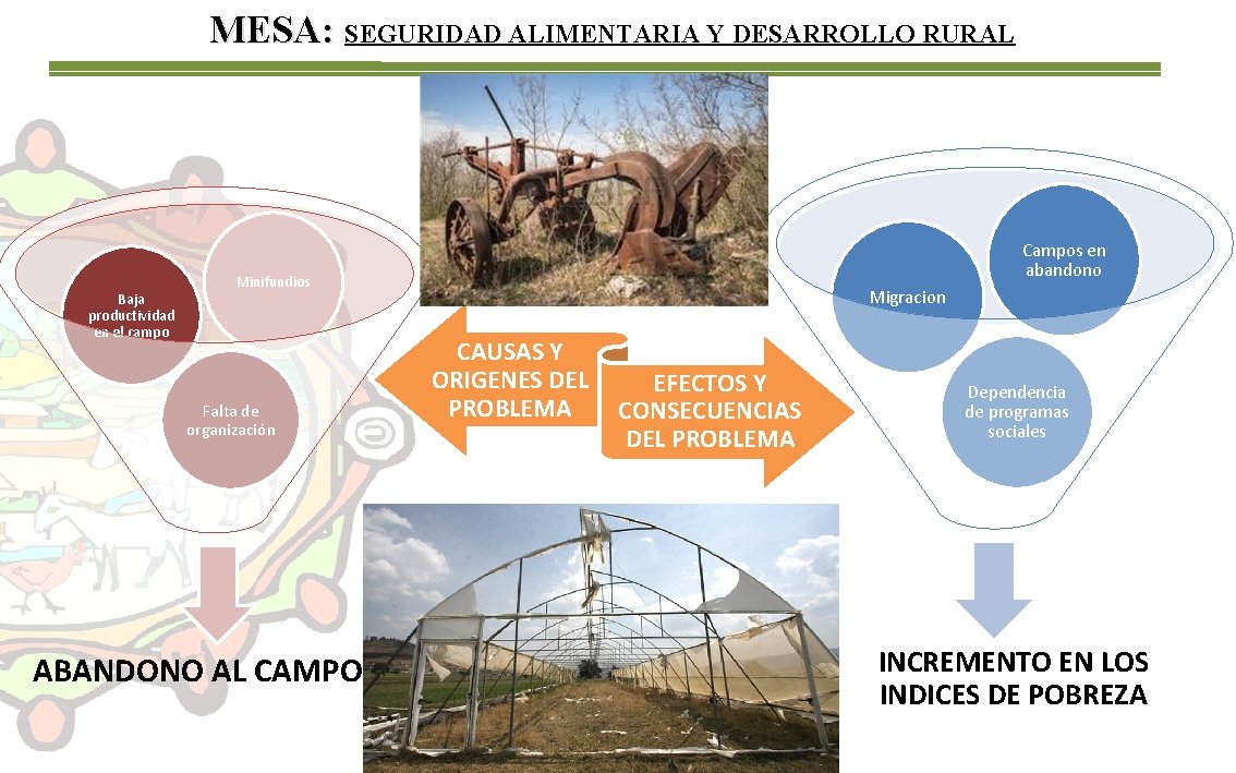 MESA: SEGURIDAD ALIMENTARIA Y DESARROLLO RURAL Baja productividad en el campo Campos en abandono