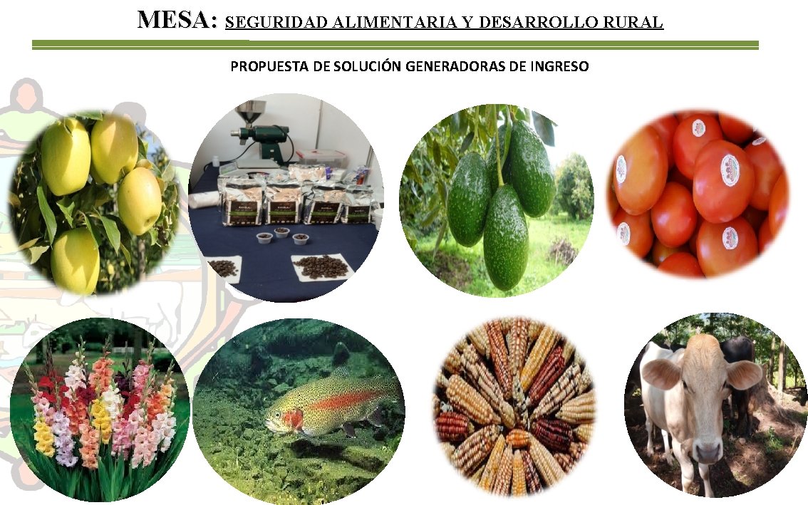 MESA: SEGURIDAD ALIMENTARIA Y DESARROLLO RURAL PROPUESTA DE SOLUCIÓN GENERADORAS DE INGRESO 