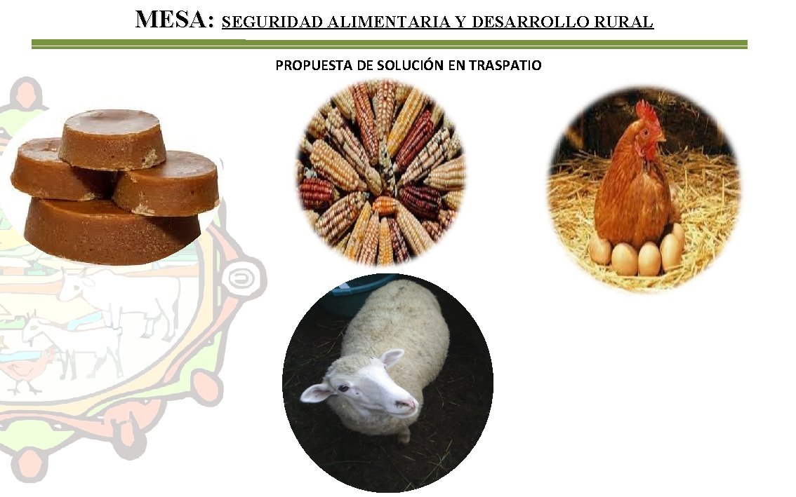 MESA: SEGURIDAD ALIMENTARIA Y DESARROLLO RURAL PROPUESTA DE SOLUCIÓN EN TRASPATIO 