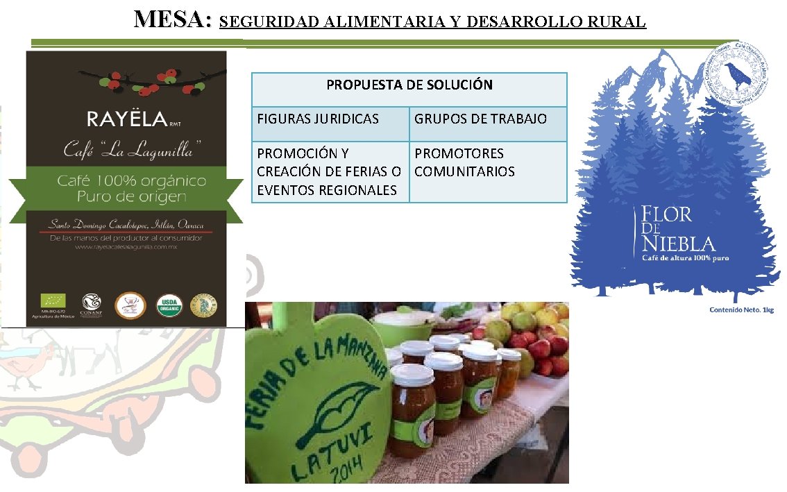 MESA: SEGURIDAD ALIMENTARIA Y DESARROLLO RURAL PROPUESTA DE SOLUCIÓN FIGURAS JURIDICAS GRUPOS DE TRABAJO