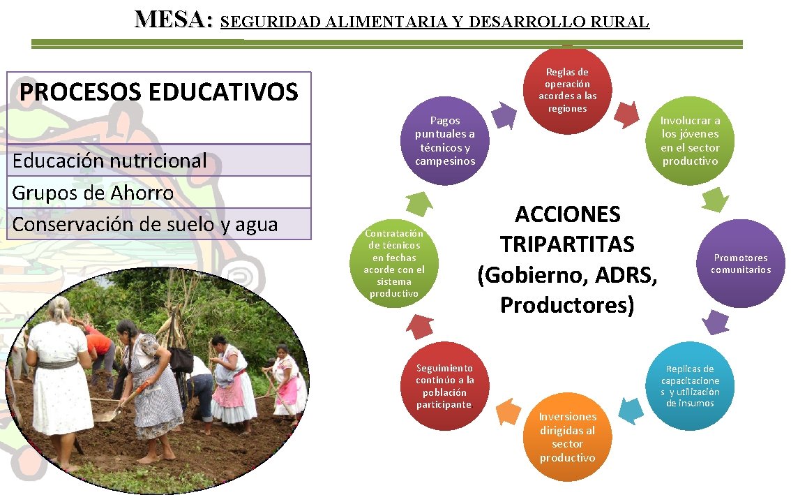 MESA: SEGURIDAD ALIMENTARIA Y DESARROLLO RURAL PROCESOS EDUCATIVOS Educación nutricional Grupos de Ahorro Conservación