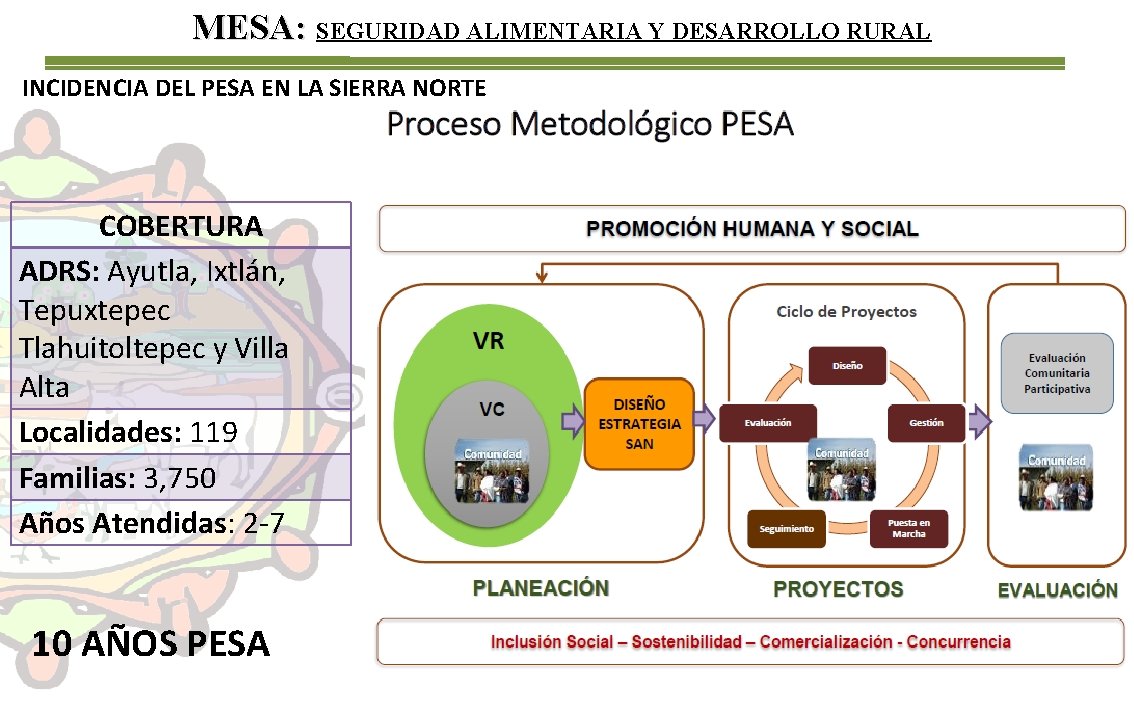 MESA: SEGURIDAD ALIMENTARIA Y DESARROLLO RURAL INCIDENCIA DEL PESA EN LA SIERRA NORTE COBERTURA