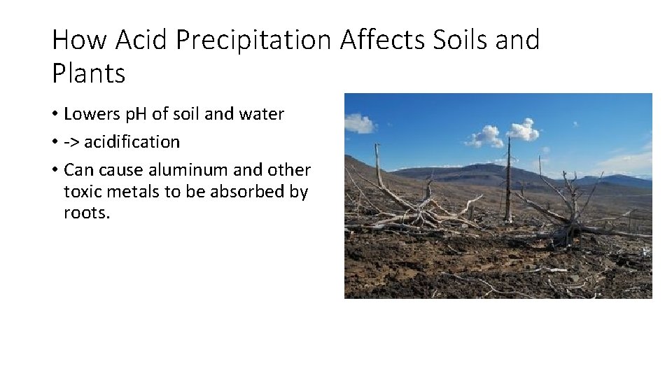 How Acid Precipitation Affects Soils and Plants • Lowers p. H of soil and