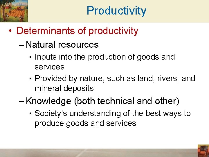 Productivity • Determinants of productivity – Natural resources • Inputs into the production of
