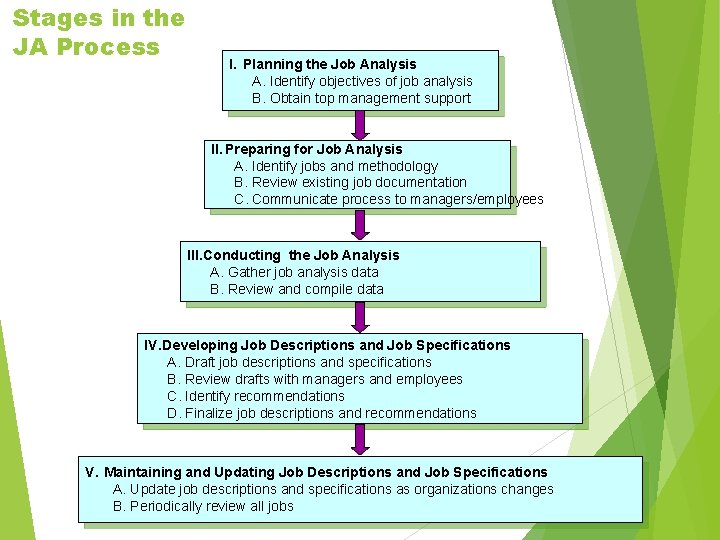Stages in the JA Process I. Planning the Job Analysis A. Identify objectives of