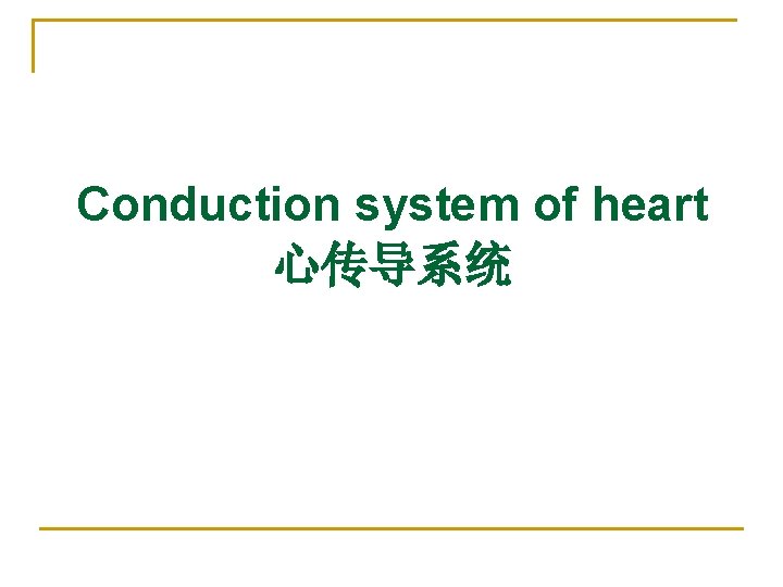 Conduction system of heart 心传导系统 