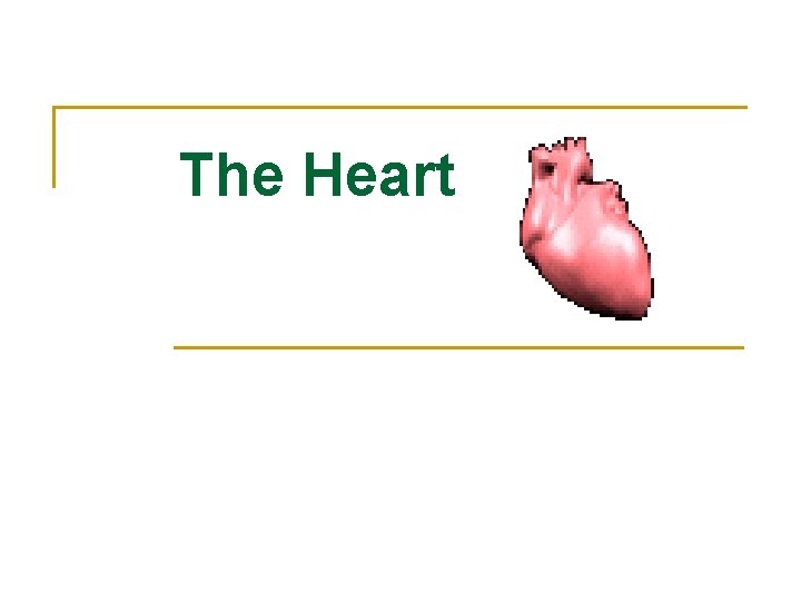 The Heart 