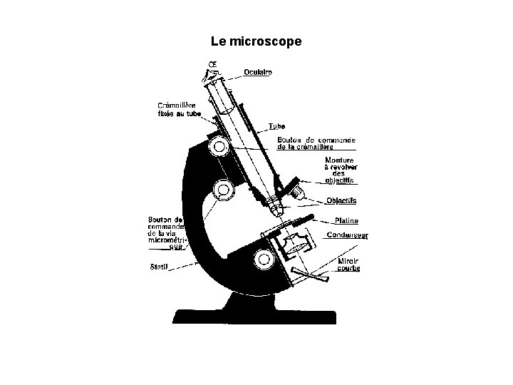 Le microscope 