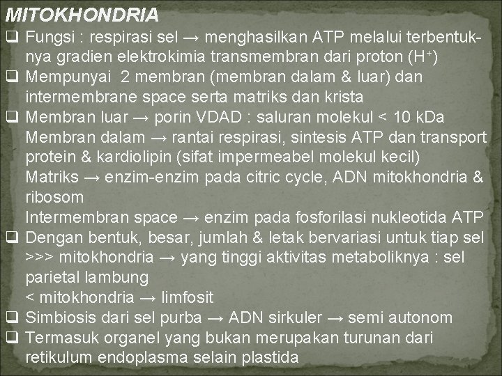 MITOKHONDRIA q Fungsi : respirasi sel → menghasilkan ATP melalui terbentuknya gradien elektrokimia transmembran