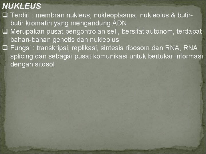 NUKLEUS q Terdiri : membran nukleus, nukleoplasma, nukleolus & butir kromatin yang mengandung ADN