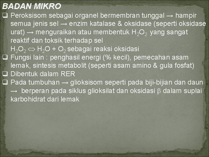 BADAN MIKRO q Peroksisom sebagai organel bermembran tunggal → hampir semua jenis sel →