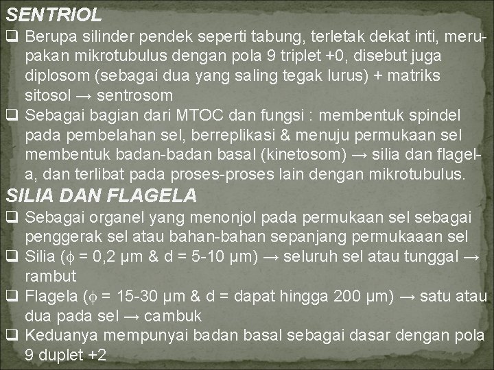 SENTRIOL q Berupa silinder pendek seperti tabung, terletak dekat inti, merupakan mikrotubulus dengan pola