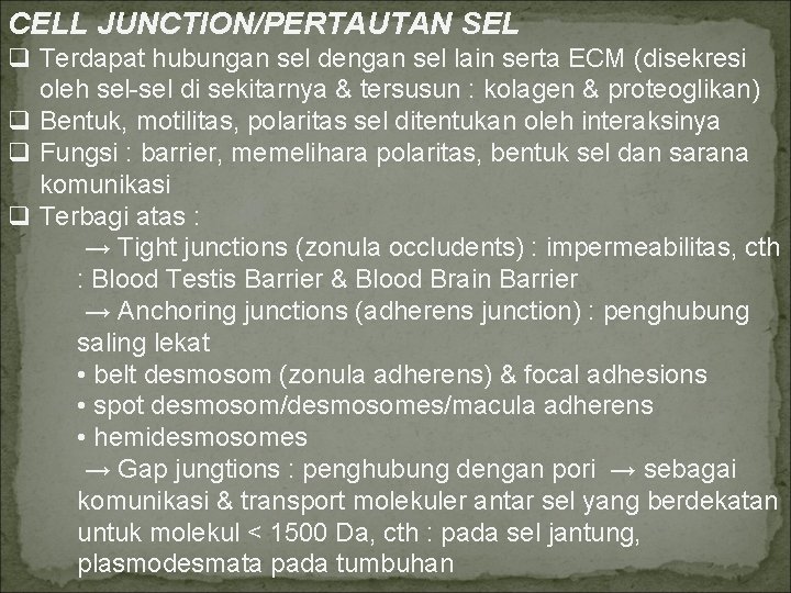 CELL JUNCTION/PERTAUTAN SEL q Terdapat hubungan sel dengan sel lain serta ECM (disekresi oleh