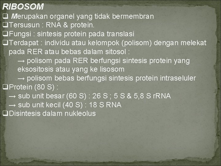 RIBOSOM q Merupakan organel yang tidak bermembran q. Tersusun : RNA & protein. q.