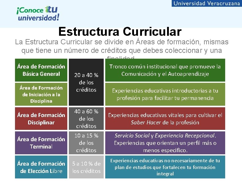 Estructura Curricular La Estructura Curricular se divide en Áreas de formación, mismas que tiene