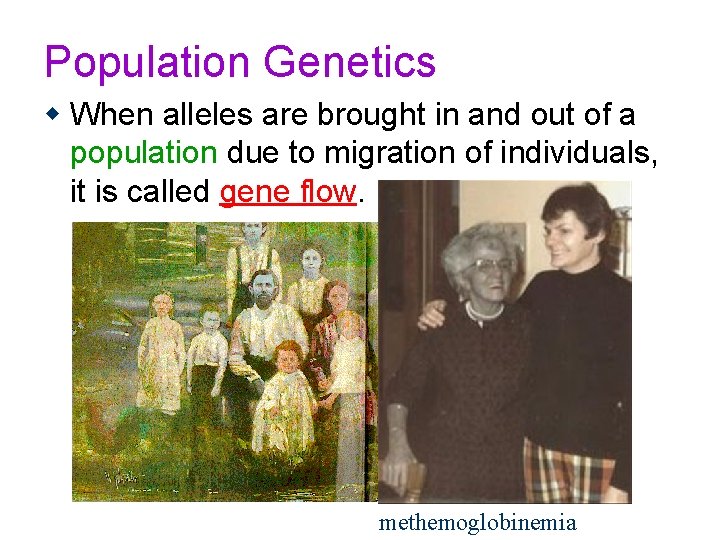 Population Genetics w When alleles are brought in and out of a population due