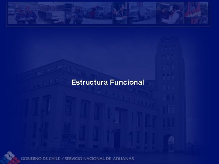 Estructura Funcional Estructura Funcional