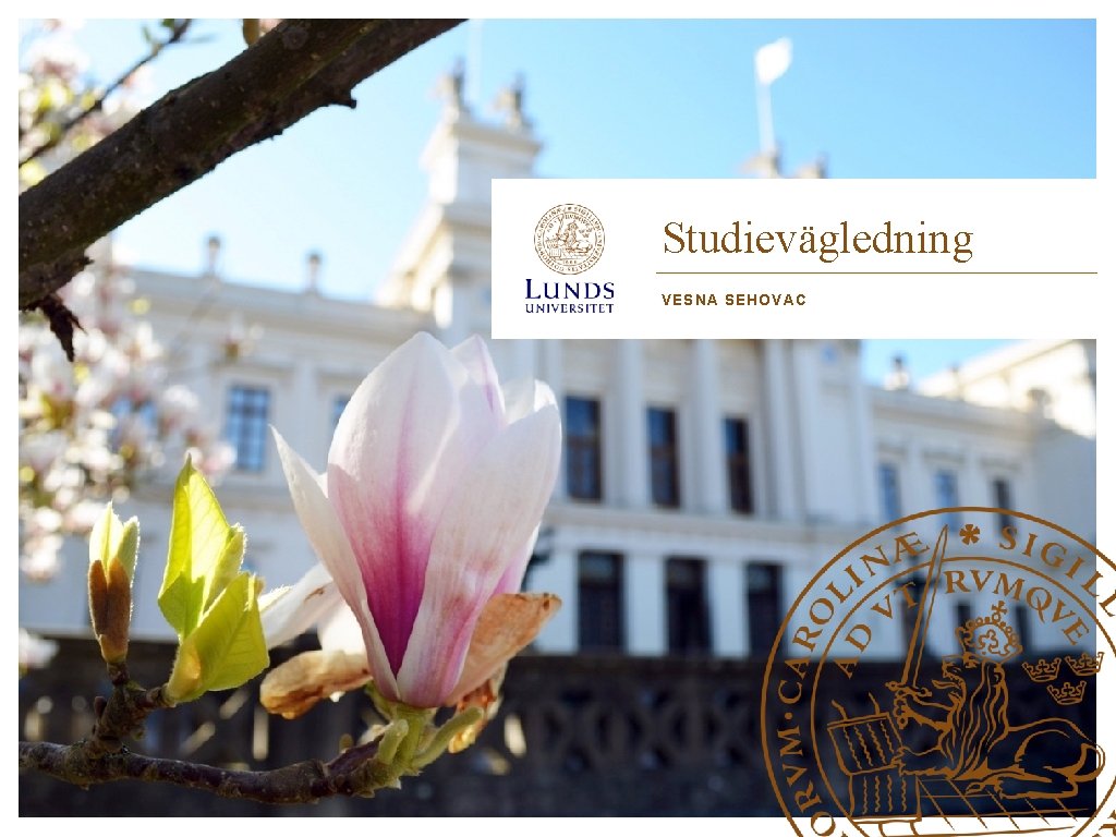 Studievägledning VESNA SEHOVAC Studievägledning VESNA SEHOVAC
