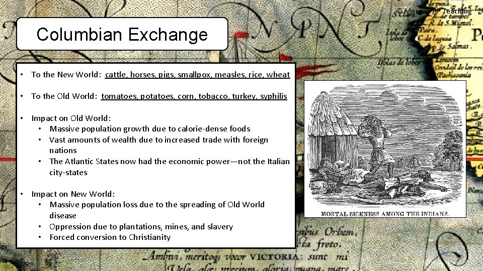 © Morgan AP Teaching Columbian Exchange • To the New World: cattle, horses, pigs,