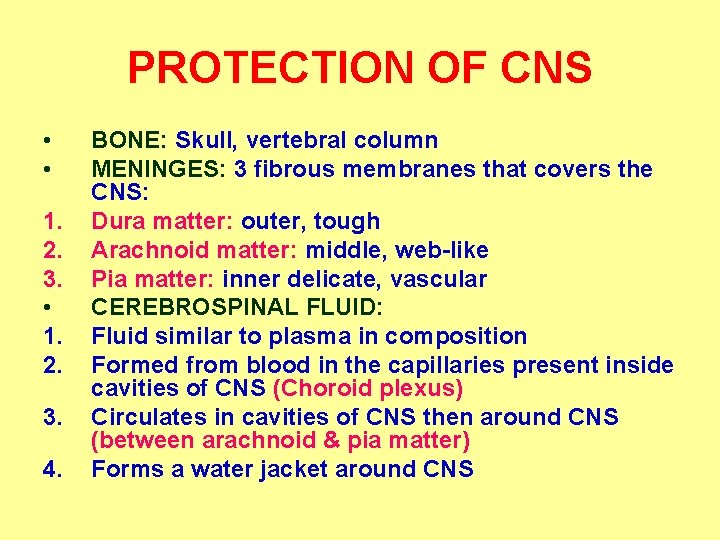 PROTECTION OF CNS • • 1. 2. 3. 4. BONE: Skull, vertebral column MENINGES: