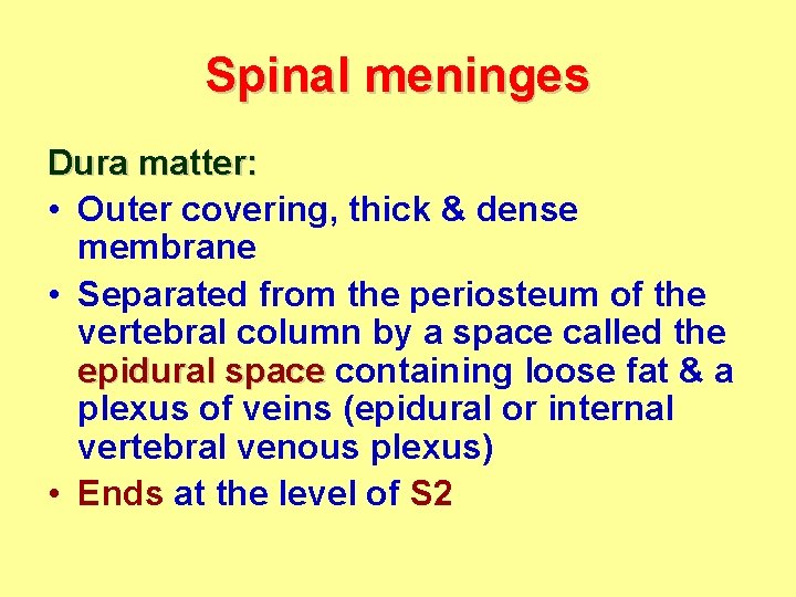 Spinal meninges Dura matter: • Outer covering, thick & dense membrane • Separated from