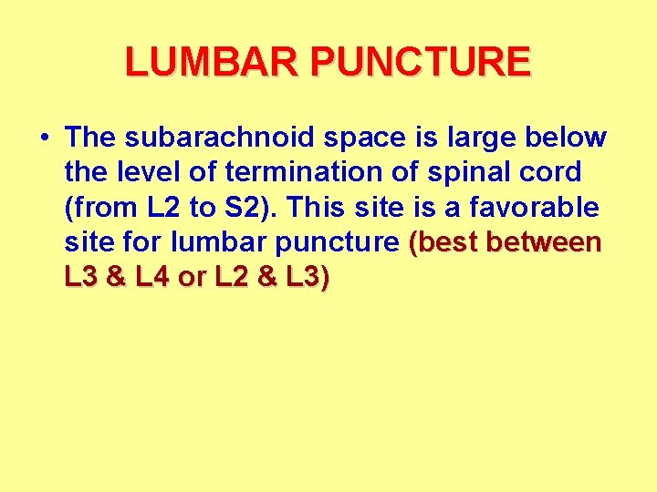 LUMBAR PUNCTURE • The subarachnoid space is large below the level of termination of