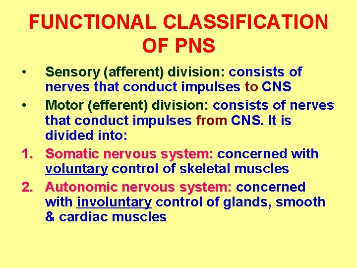 FUNCTIONAL CLASSIFICATION OF PNS • Sensory (afferent) division: consists of nerves that conduct impulses