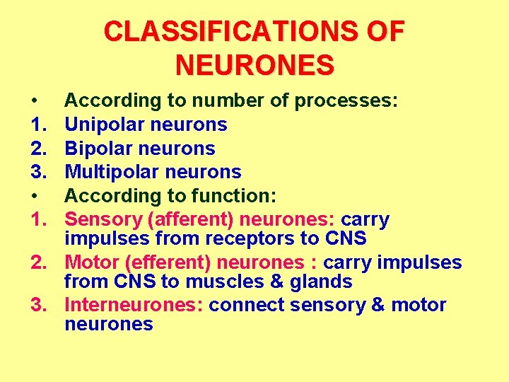 CLASSIFICATIONS OF NEURONES • 1. 2. 3. • 1. According to number of processes: