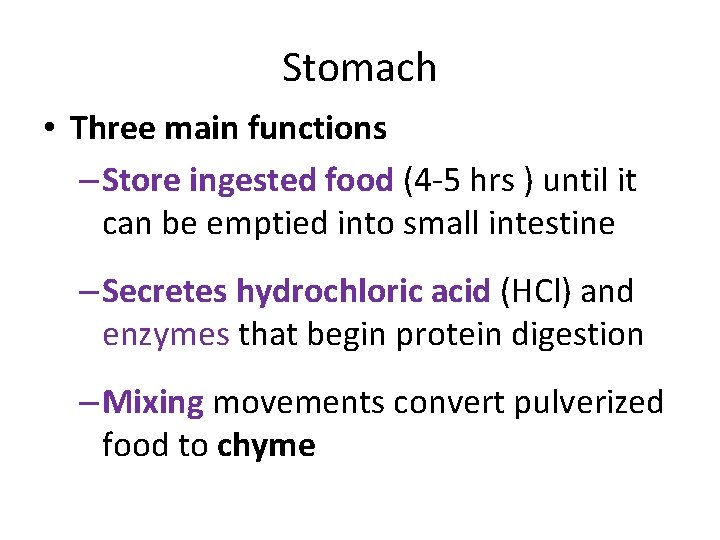 Stomach • Three main functions – Store ingested food (4 -5 hrs ) until