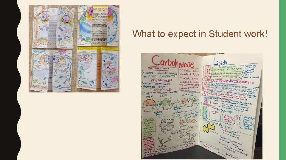 What to expect in Student work! 