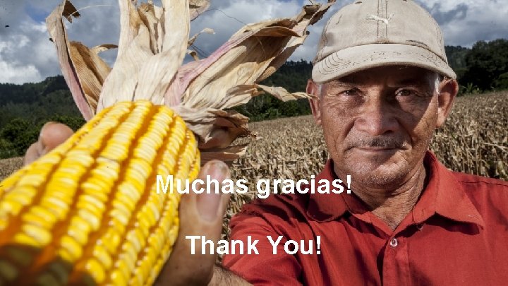 Muchas gracias! Thank You! 