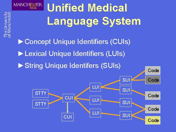 Unified Medical Language System ►Concept Unique Identifiers (CUIs) ►Lexical Unique Identifiers (LUIs) ►String Unique