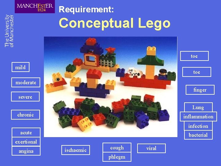 Requirement: Conceptual Lego toe mild toe moderate finger severe Lung chronic inflammation infection acute