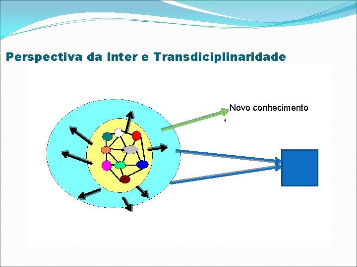 Perspectiva da Inter e Transdiciplinaridade Novo conhecimento 