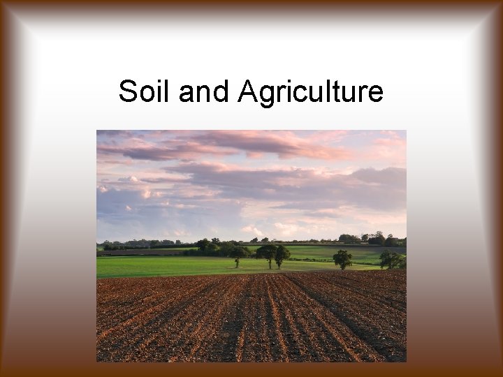 Soil and Agriculture 