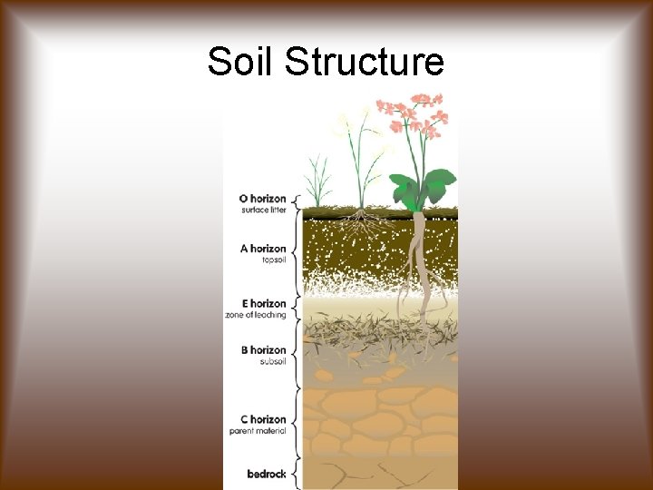 Soil Structure 