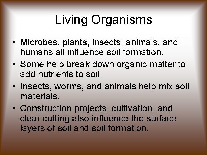 Living Organisms • Microbes, plants, insects, animals, and humans all influence soil formation. •