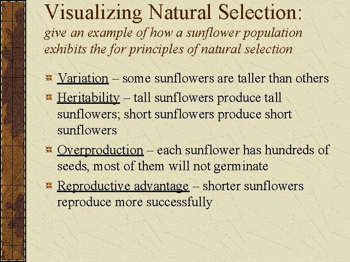 Visualizing Natural Selection: give an example of how a sunflower population exhibits the for
