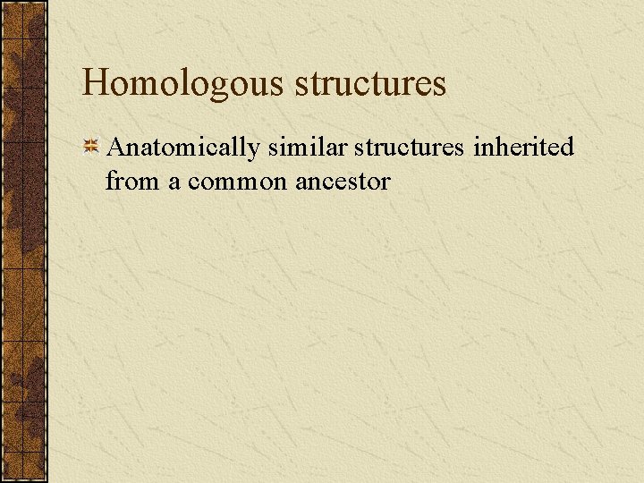 Homologous structures Anatomically similar structures inherited from a common ancestor 