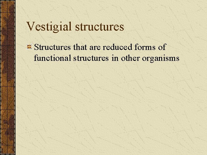 Vestigial structures Structures that are reduced forms of functional structures in other organisms 