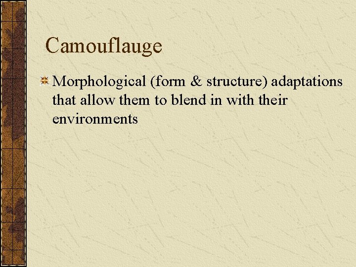 Camouflauge Morphological (form & structure) adaptations that allow them to blend in with their