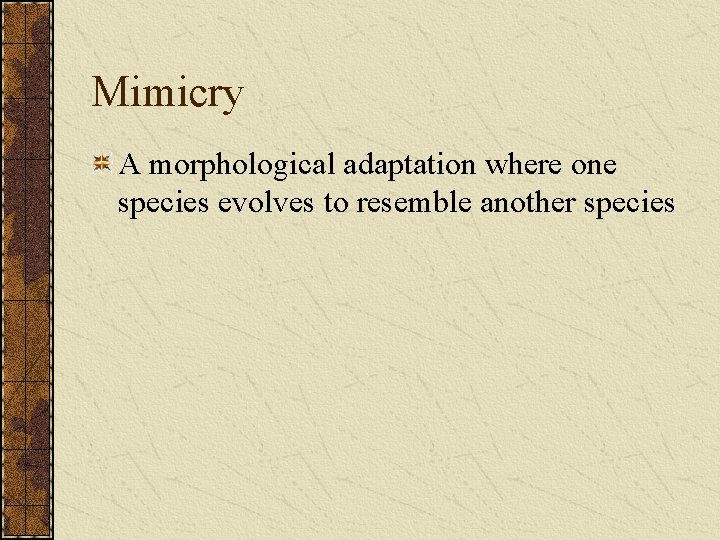 Mimicry A morphological adaptation where one species evolves to resemble another species 